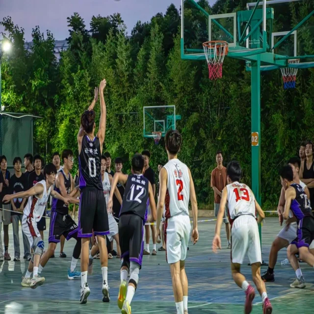 林诗栋连胜刷新纪录，开启乒坛新篇章